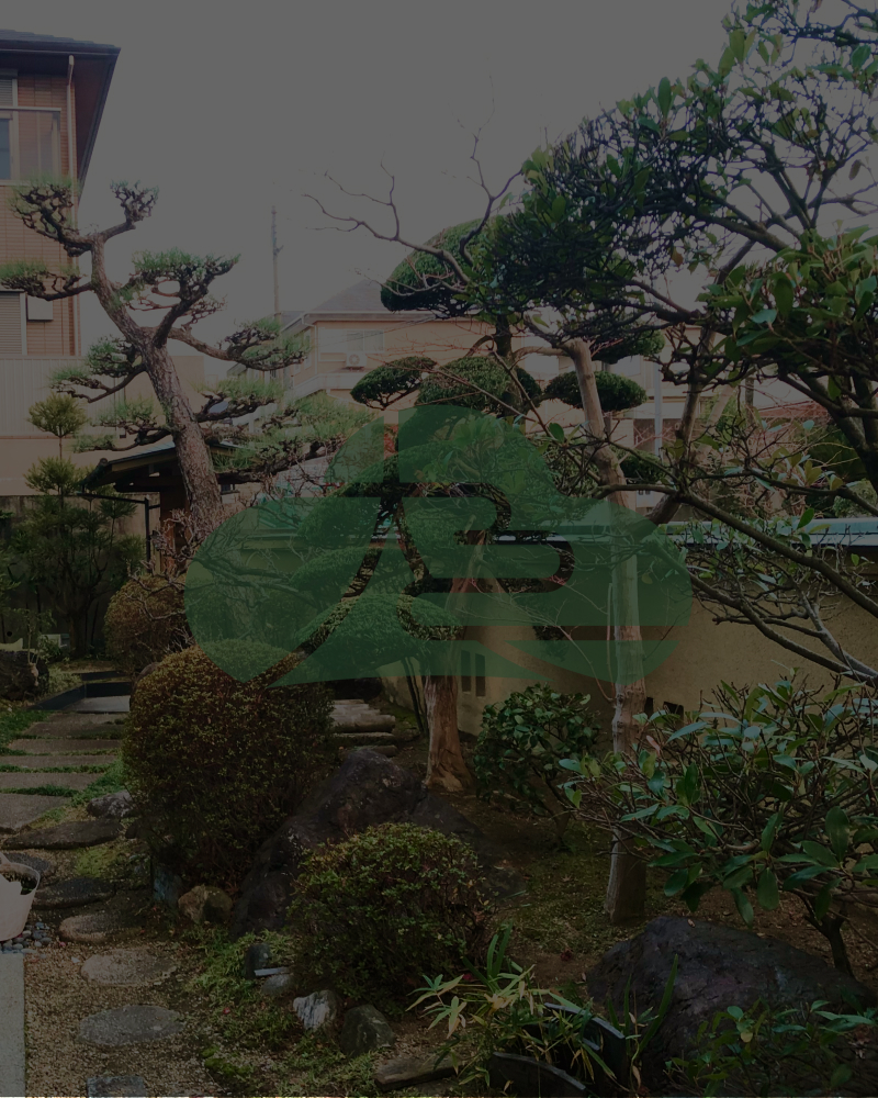 大嶋創苑 大嶋創苑