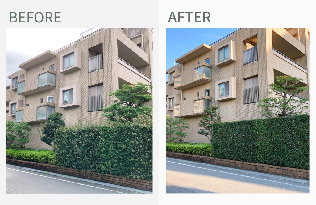 ヴェルデリッジアクア