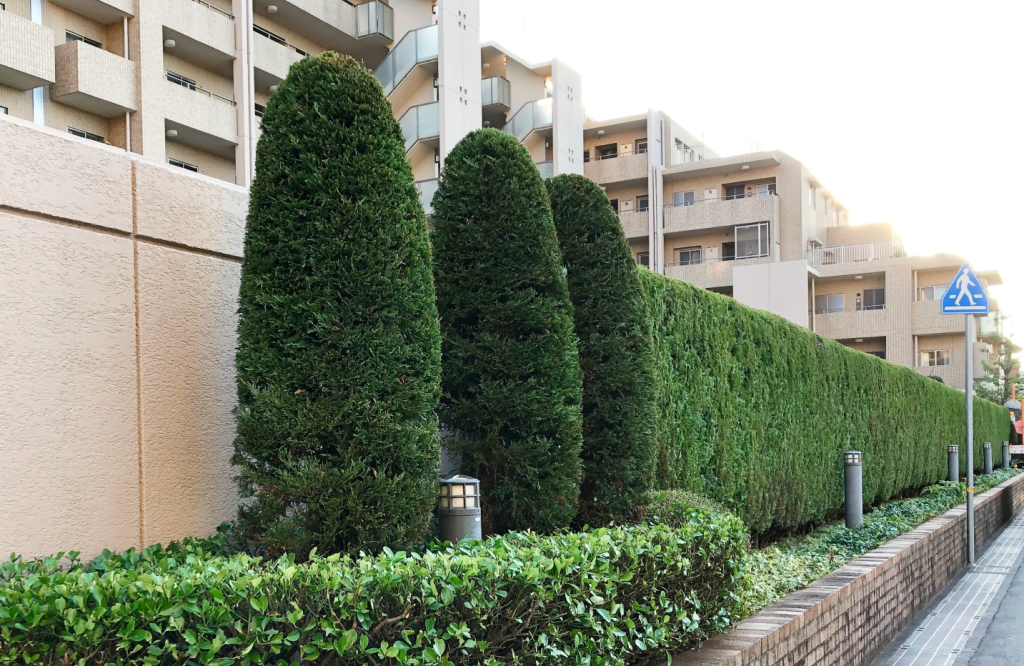 ヴェルデリッジアクア