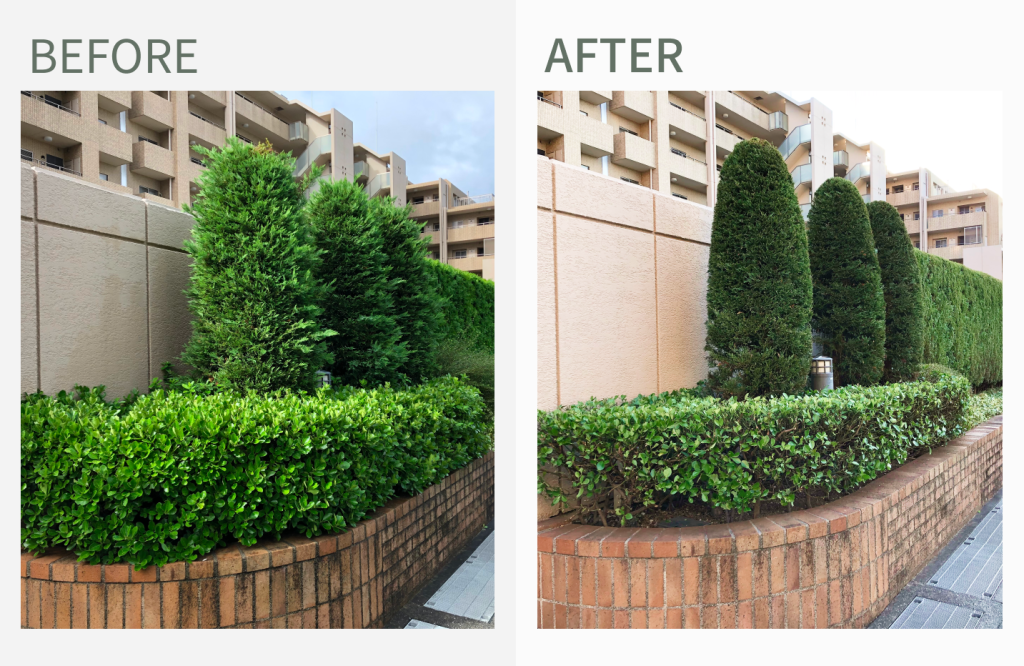 ヴェルデリッジアクア