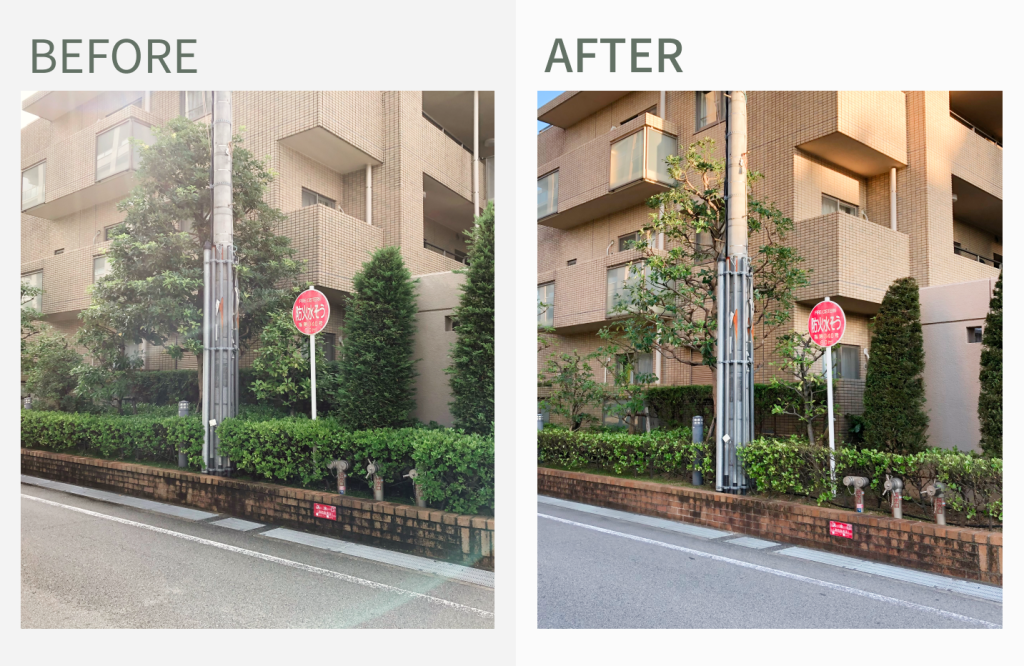 ヴェルデリッジアクア