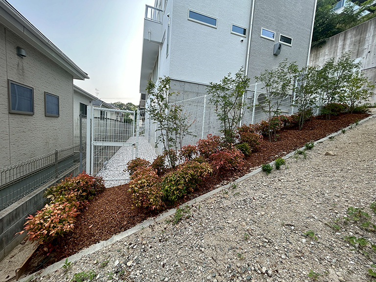 兵庫県神戸市東灘区　個人邸　K様邸　新築工事に伴う洋風庭園の作成　ビゼンマユミ（肥前真弓）、アオダモ、他