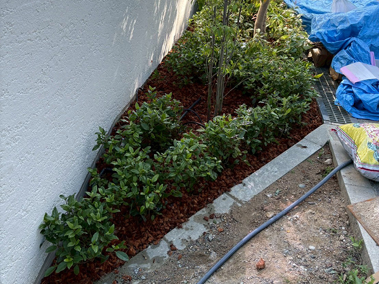 兵庫県神戸市東灘区　個人邸　K様邸　新築工事に伴う洋風庭園の作成（コハウチワカエデ、ハイノキなど）