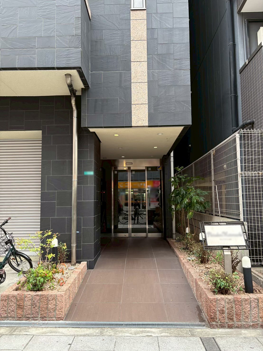 コノテヒバ　剪定後の様子