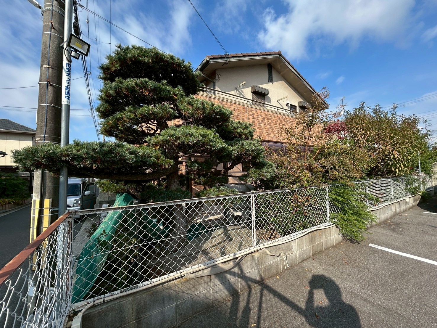 ゴヨウマツ(五葉松)の剪定