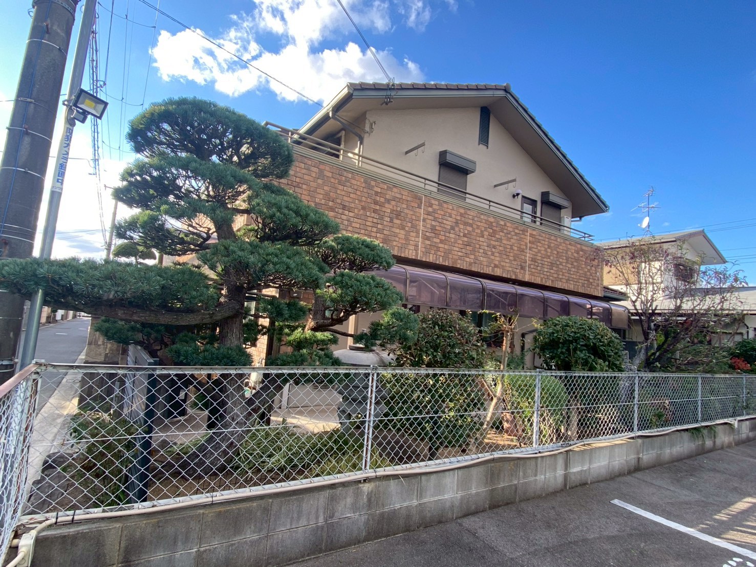 ゴヨウマツ(五葉松)の剪定