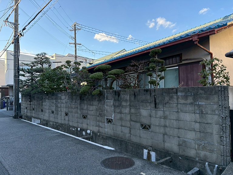 兵庫県西宮市　個人邸　Ｔ様邸　お庭全体のメンテナンス・剪定作業　ヒマラヤスギ（ヒマラヤ杉）、ウメ（梅）、クロマツ（黒松）など