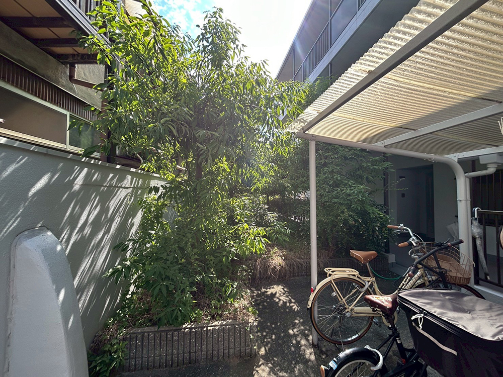 マンションの植栽管理
