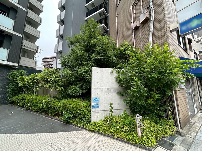 大阪府大阪市天王寺区　マンションの植栽管理：コンクリート製のマンションサイン周りの剪定作業