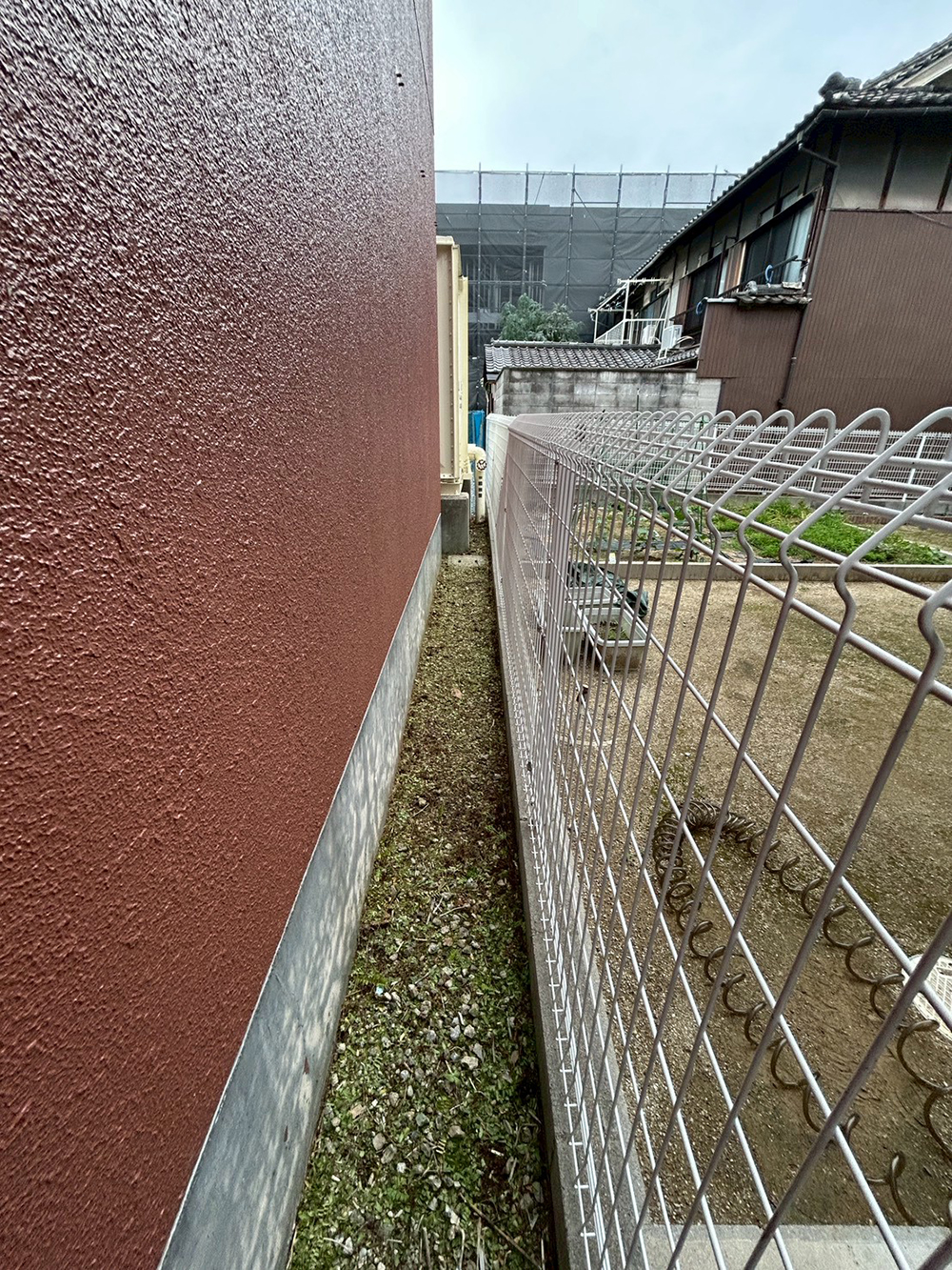 シダを除草しました。