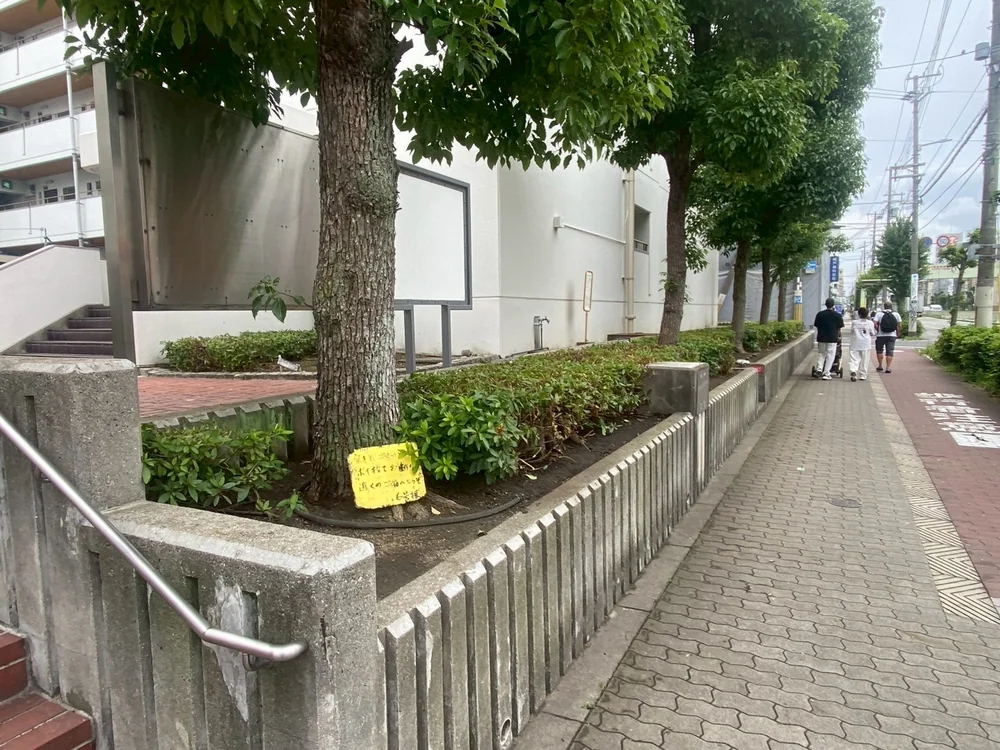 ヒラドツツジ
