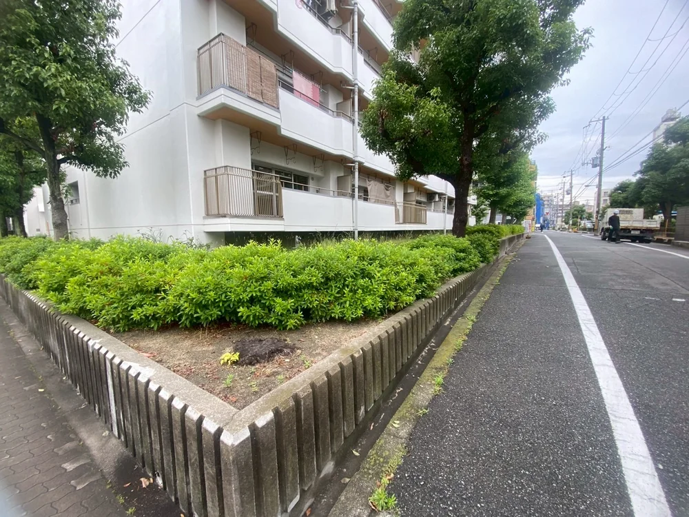 ヒラドツツジ