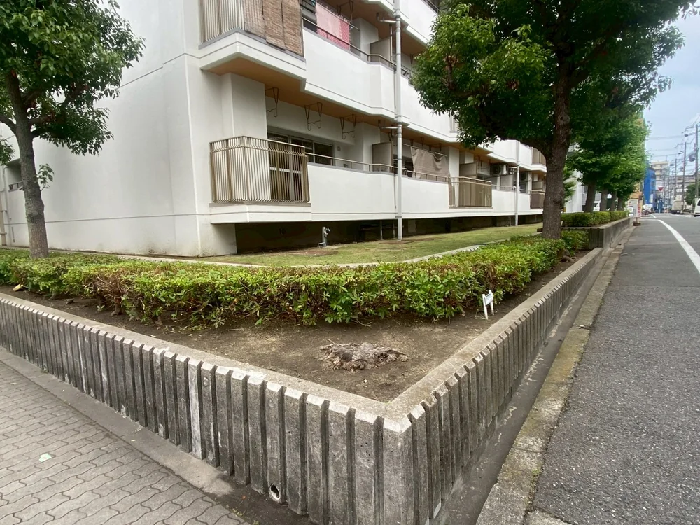ヒラドツツジ
