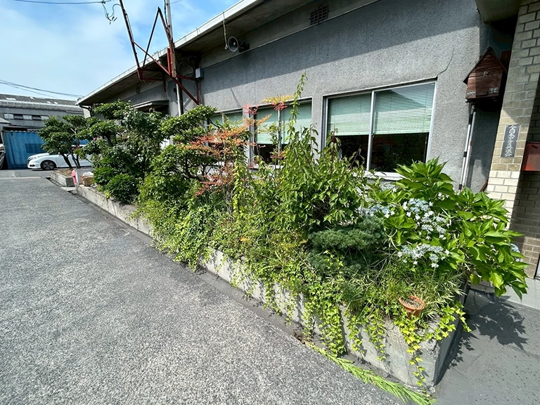 大阪府八尾市　工場　敷地内の植栽剪定・伐採（ウメ、ナンテン、サザンカ、ヘデラ、アキニレ）