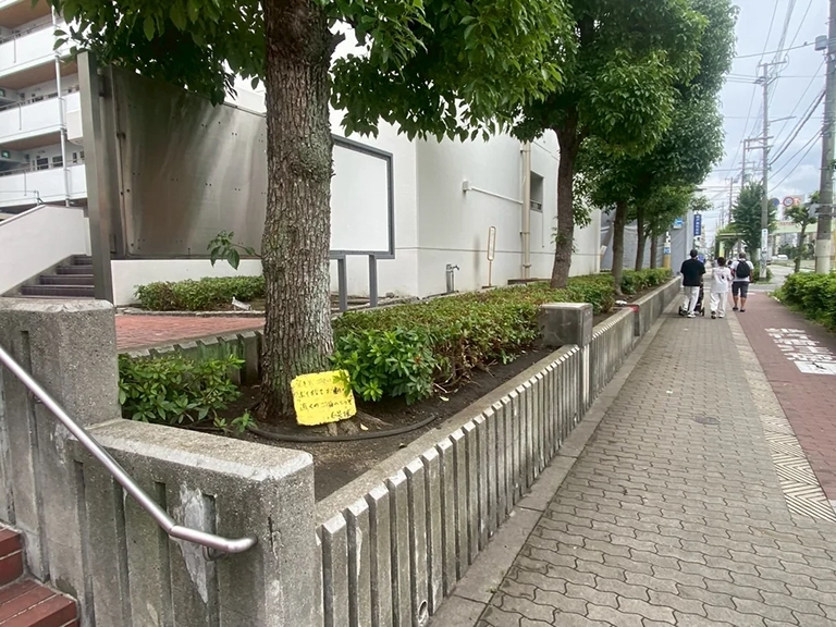 大阪府大阪市都島区　団地　低木剪定と除草・草刈り