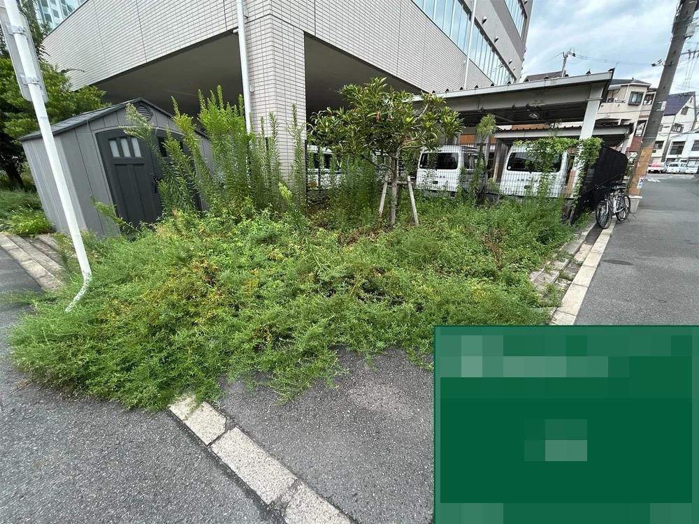 大阪府大阪市都島区 施設 管理間隔が空いていた植栽枡・花壇の草刈り