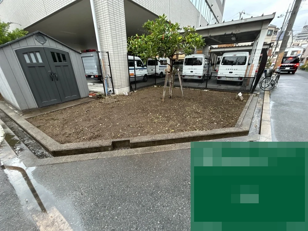 大阪府大阪市都島区 施設 管理間隔が空いていた植栽枡・花壇の草刈り