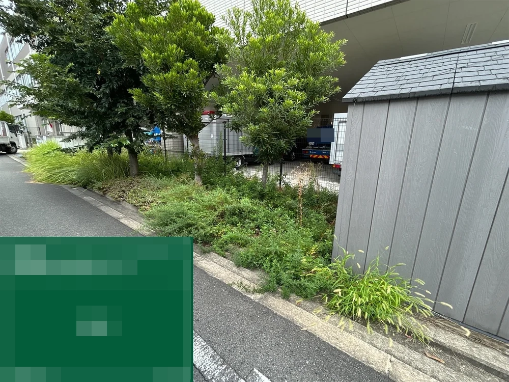 大阪府大阪市都島区 施設 管理間隔が空いていた植栽枡・花壇の草刈り
