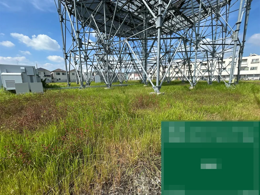 兵庫県川西市　対空通信施設で草刈り・側溝清掃