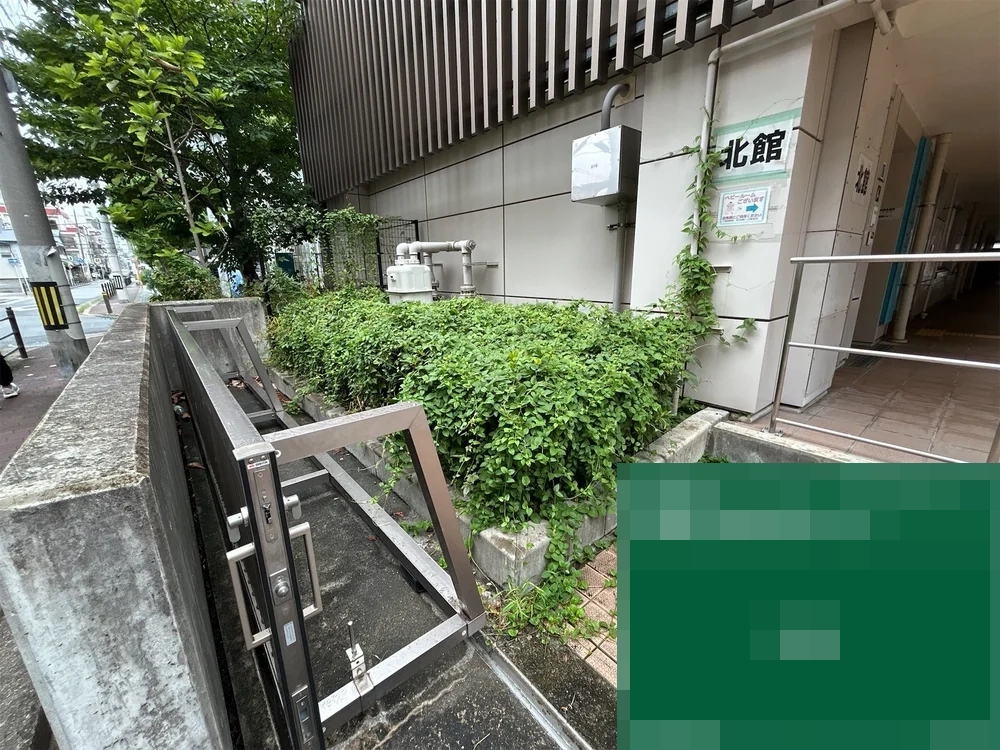 大阪府大阪市都島区 施設 管理間隔が空いていた植栽枡・花壇の草刈り